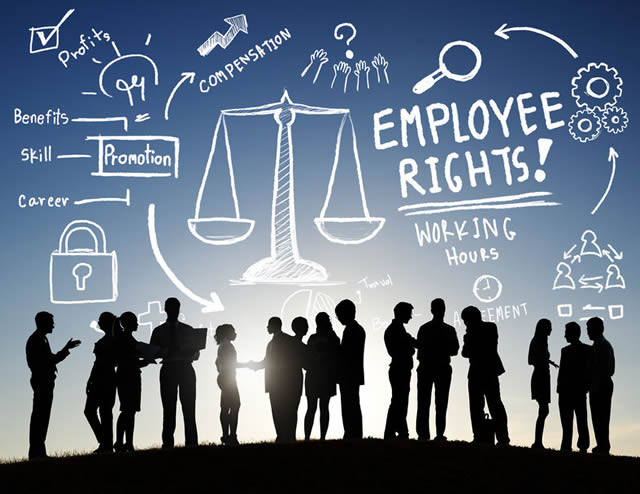 Important Facts About Labor Law: A Must-Read For Indian Employees And Employers